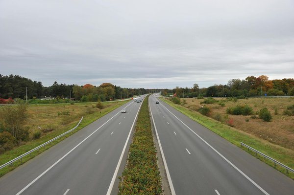 Comparatif des options d'entretien auto : concessionnaire vs garage local